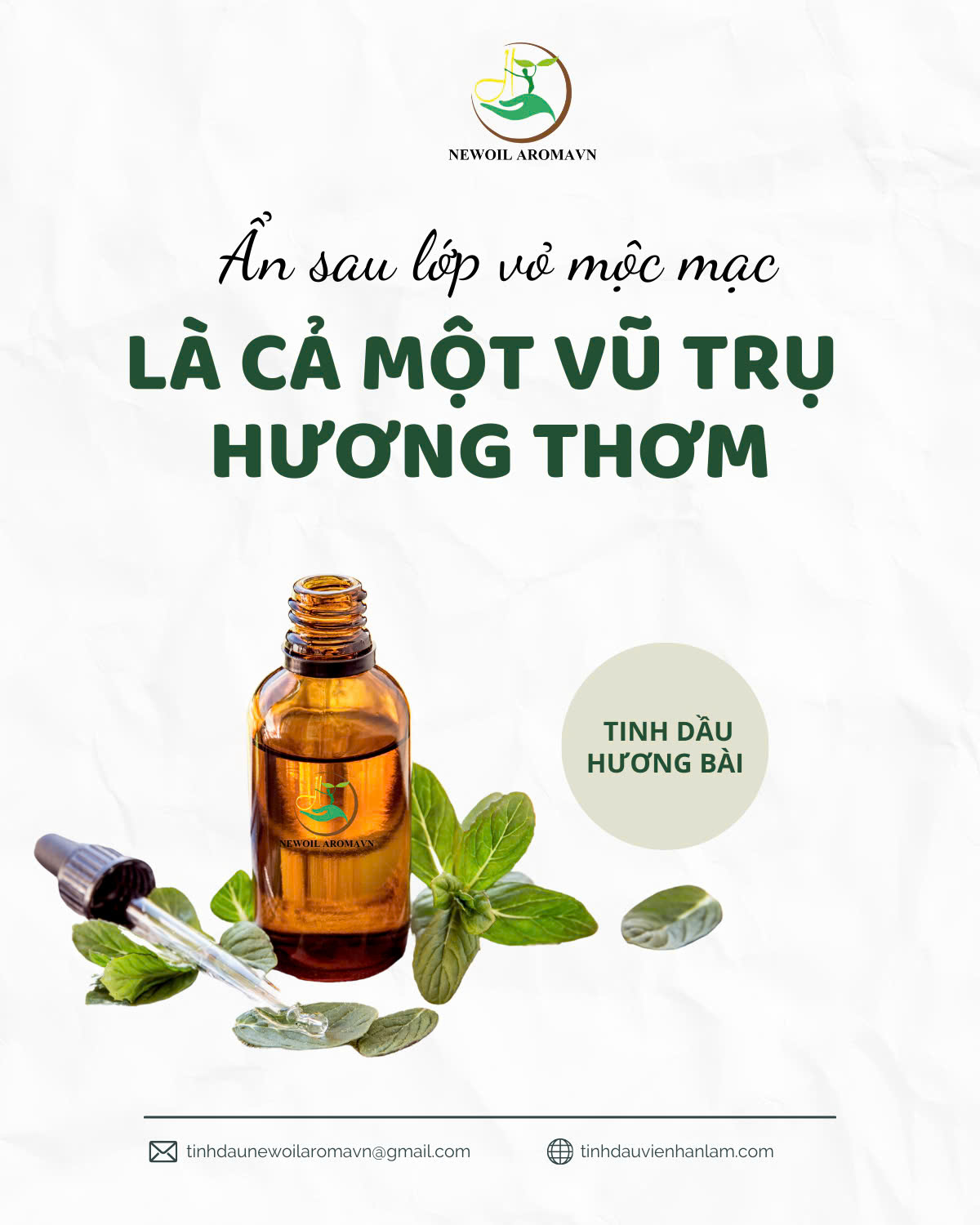 Tinh Dầu Cỏ hương bài hay cỏ hương lau - Vetiver Essential Oil