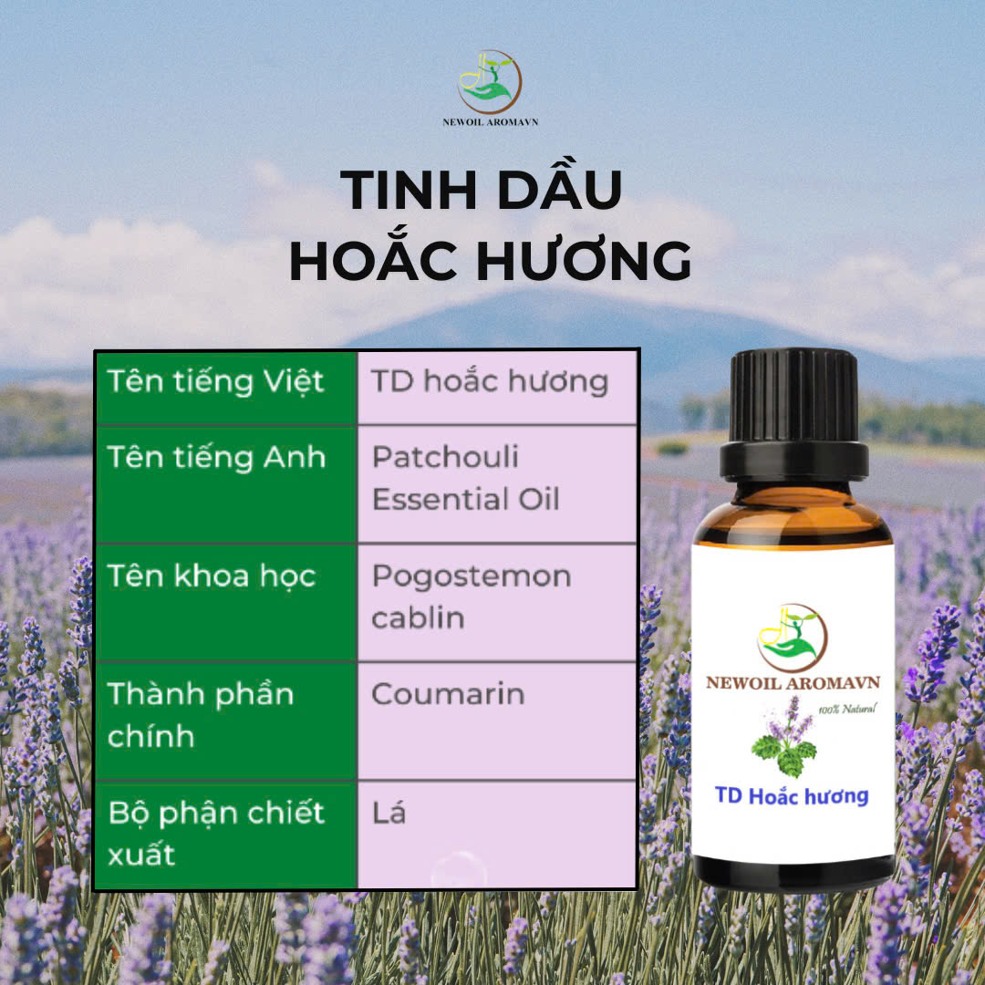 TINH DẦU HOẮC HƯƠNG | MÙI HƯƠNG TRẦM ẤM, NÍU GIỮ CHÂN TA