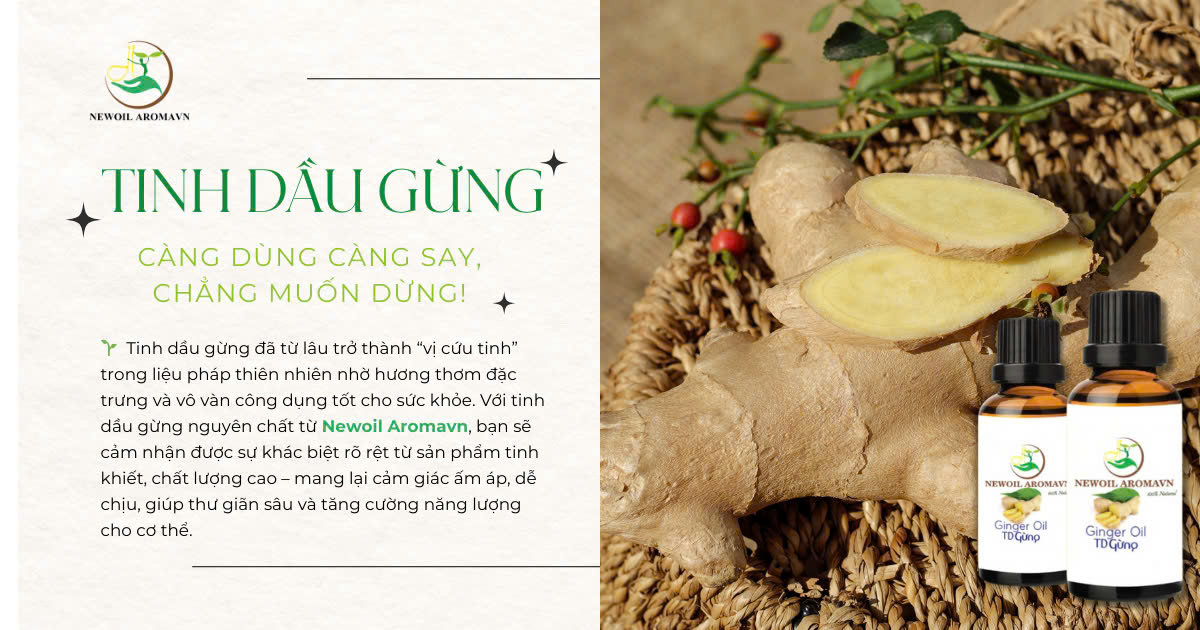 TINH DẦU GỪNG - CÀNG DÙNG CÀNG SAY, CHẲNG MUỐN DỪNG! ✨