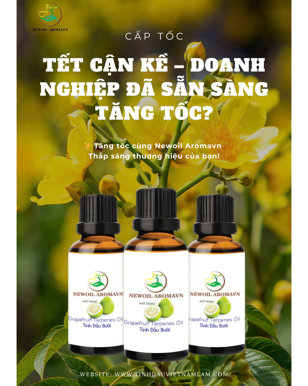 Newoil Aromavn - Chìa khóa giúp doanh nghiệp của bạn bùng nổ trong thị trường hương mỹ nghệ năm 2025