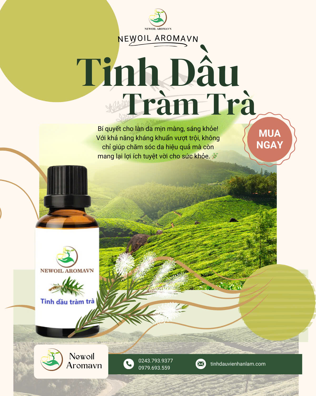 🌿 TINH DẦU TRÀM TRÀ – THANH LỌC LÀN DA, THƯ GIÃN TÂM HỒN!