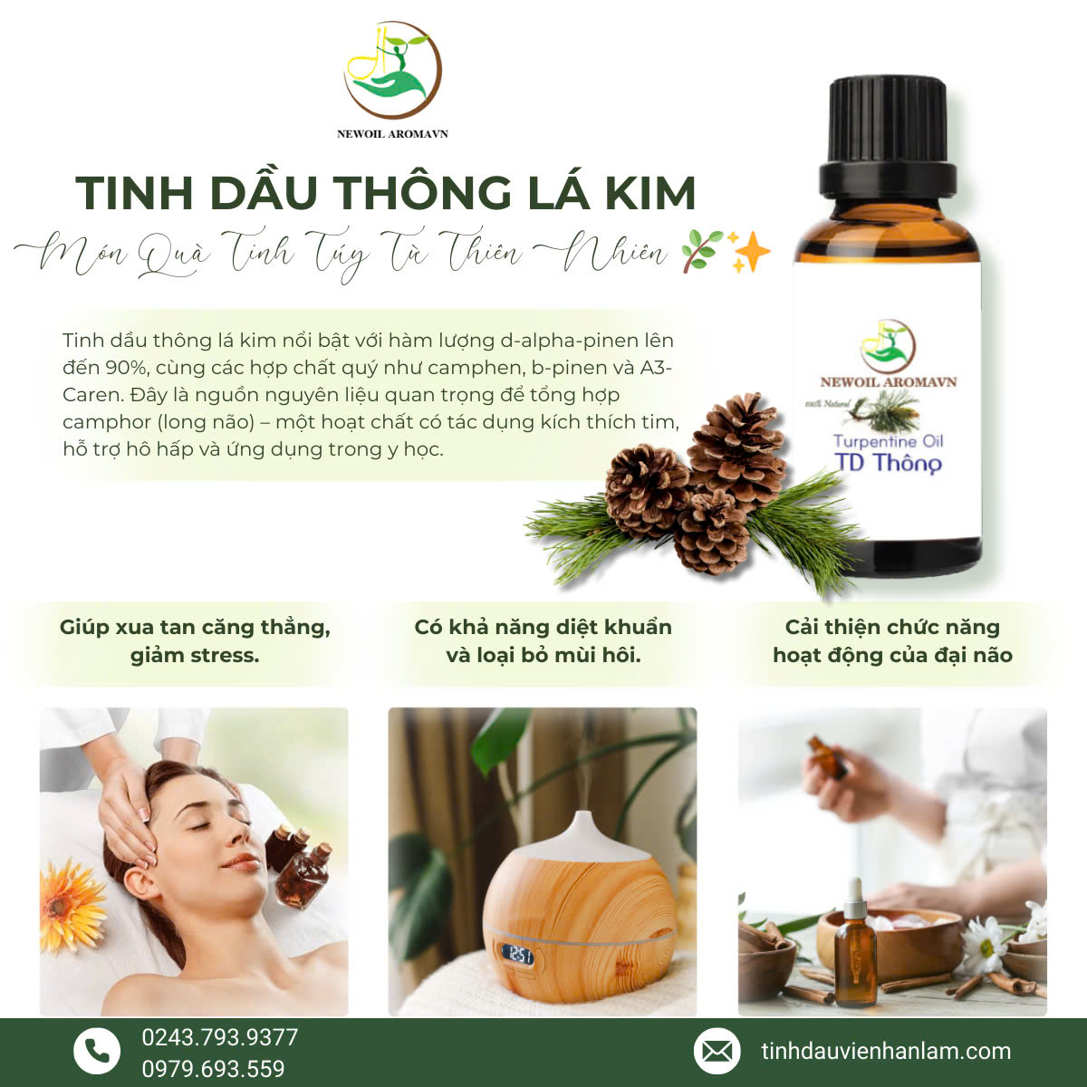 TINH DẦU THÔNG LÁ KIM - MÓN QUÀ TINH TÚY TỪ THIÊN NHIÊN 🌿✨