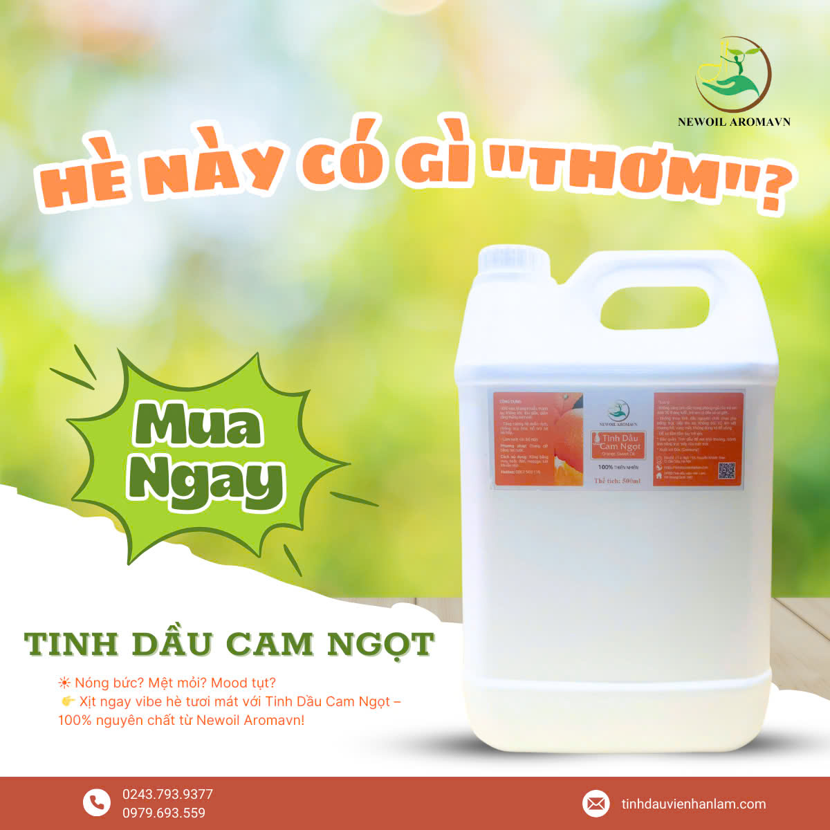 🍊 HÈ NÀY CÓ GÌ 