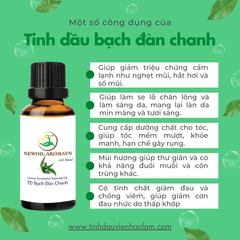 Công dụng và lợi ích của tinh dầu Bạch đàn chanh