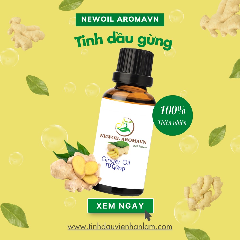 Tinh dầu gừng nguyên chất Newoil Aromavn