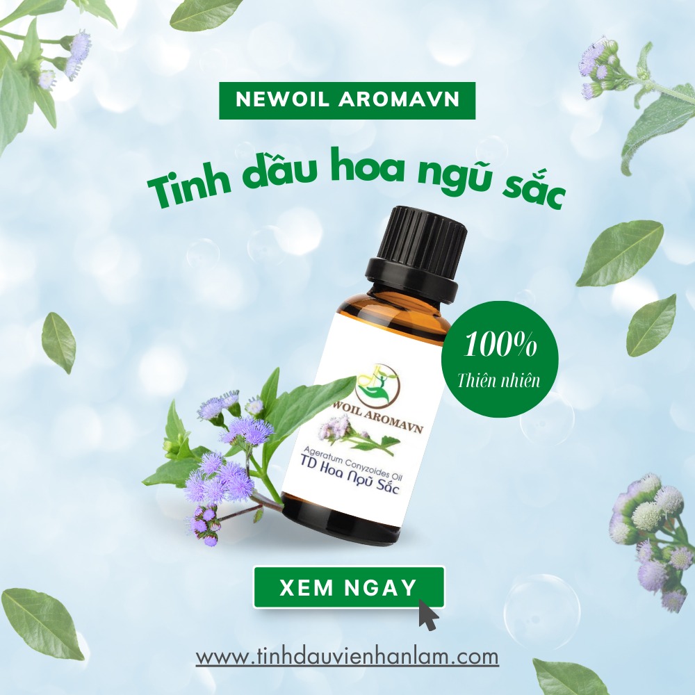 Tinh dầu hoa ngũ sắc nguyên chất Newoil Aromavn