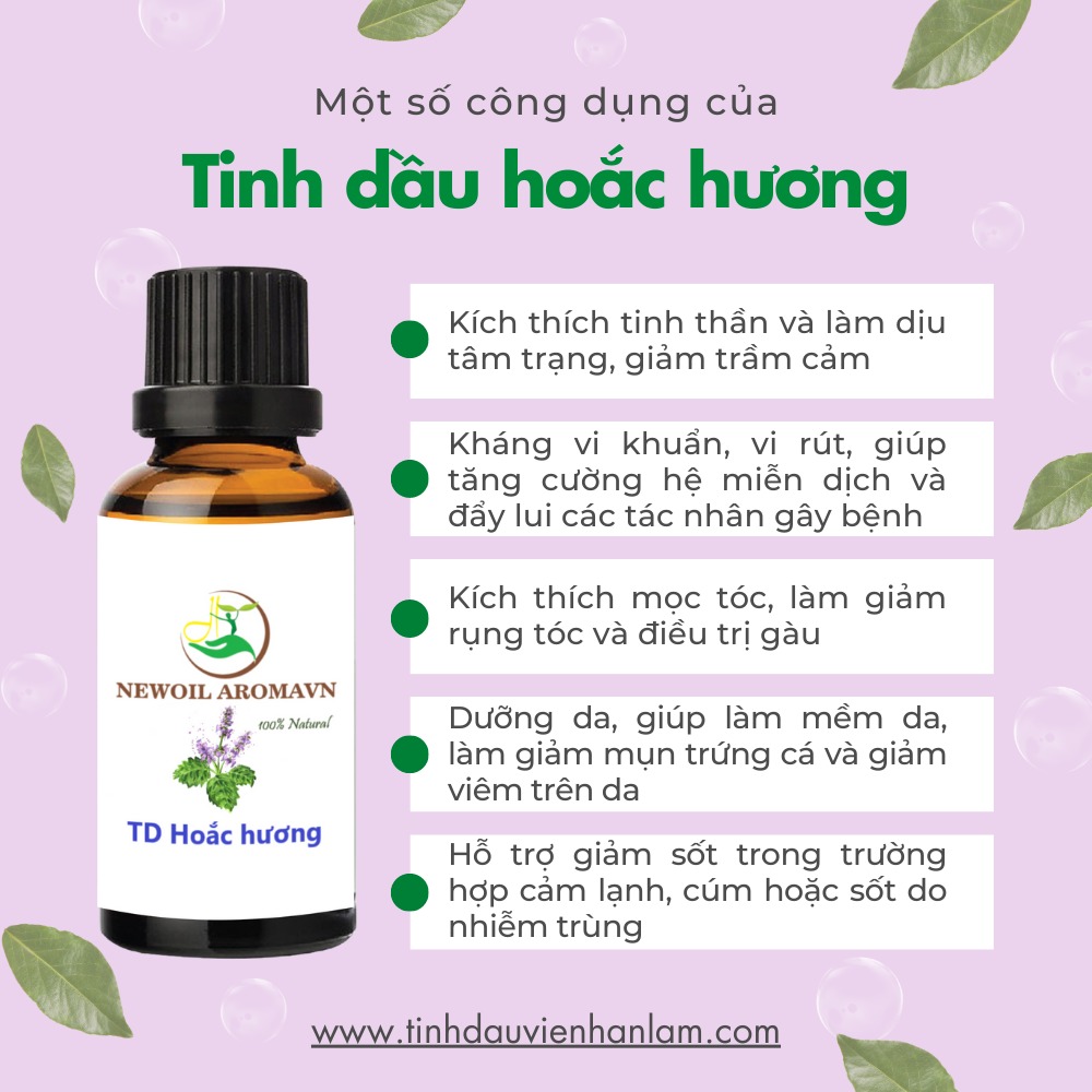 Công dụng và lợi ích của tinh dầu Hoắc Hương