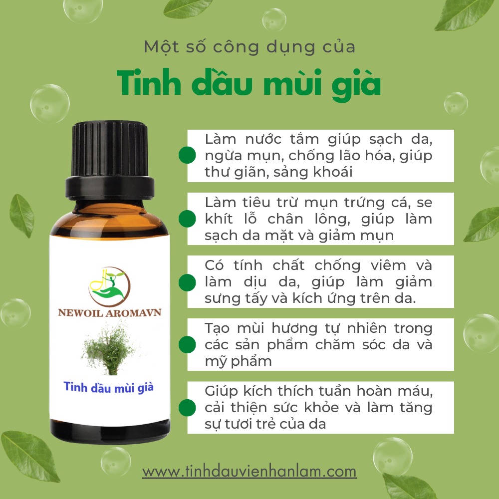 Công dụng và lợi ích của tinh dầu Mùi già