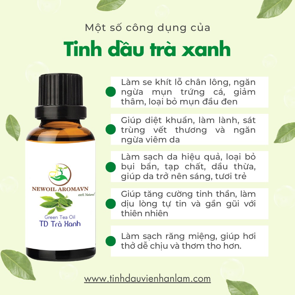 Công dụng và lợi ích của tinh dầu Trà xanh