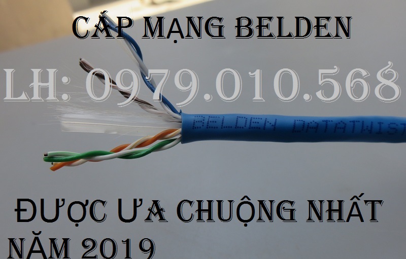 Các loại cáp mạng đang được ưa chuộng trên thị trường