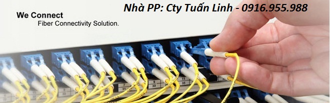 Patch cord dây nhảy quang FO AMP