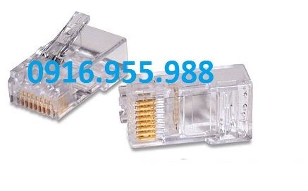 Hạt mạng AMP tyco RJ45 loại chính hãng được phân phối tại công ty Tuấn Linh giả chỉ 4300đ/chiếc