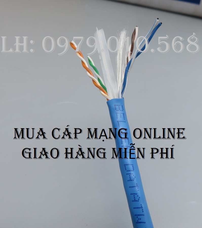 Mua cáp mạng online - Free ship nội thành