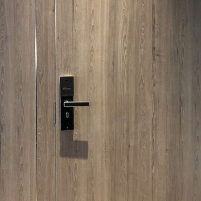 Khóa điện tử Demax EHL606 SBY
