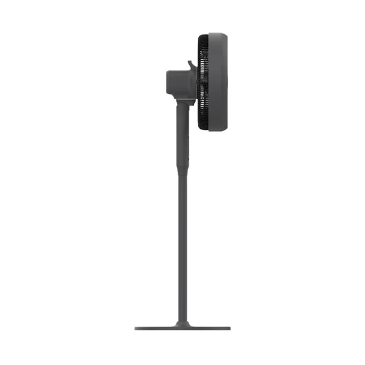 Quạt cây Hawonkoo DC FDH-012