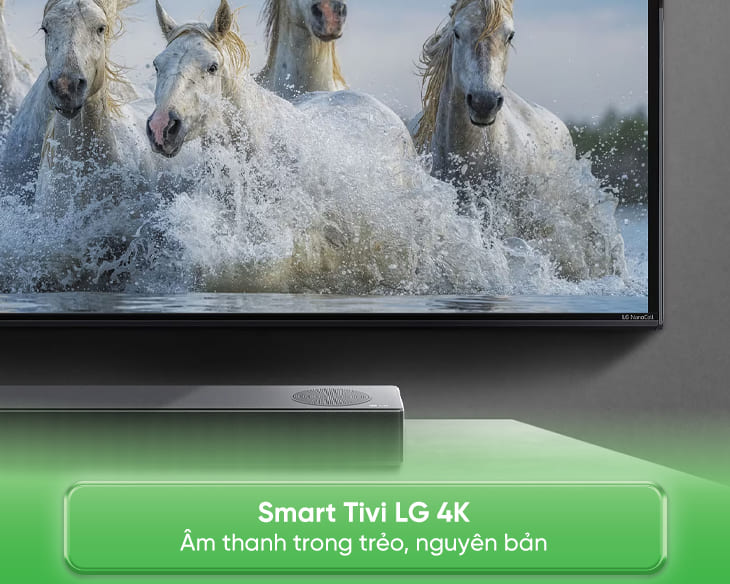 Smart Tivi LG 4K 65 inch 65UT7350PSB