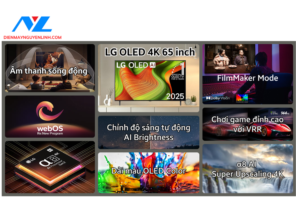 Smart Tivi LG Oled 4K 65 inch 2025 (65B5PSA)