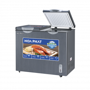 Tủ đông Hòa Phát 205 lít HPF BD6205G