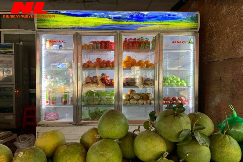 Tủ mát siêu thị 4 cánh Sanaky VH-2209HP