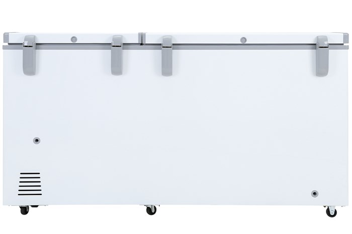 Tủ đông Sanaky VH-6699W1 | Tủ đông 2 chế độ