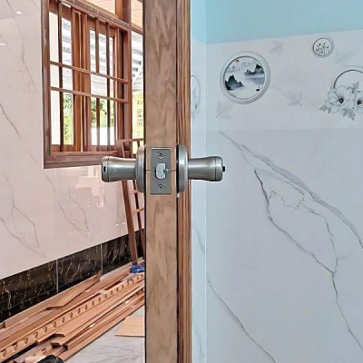 Khóa điện tử Demax SL109 SV App Bluetooth