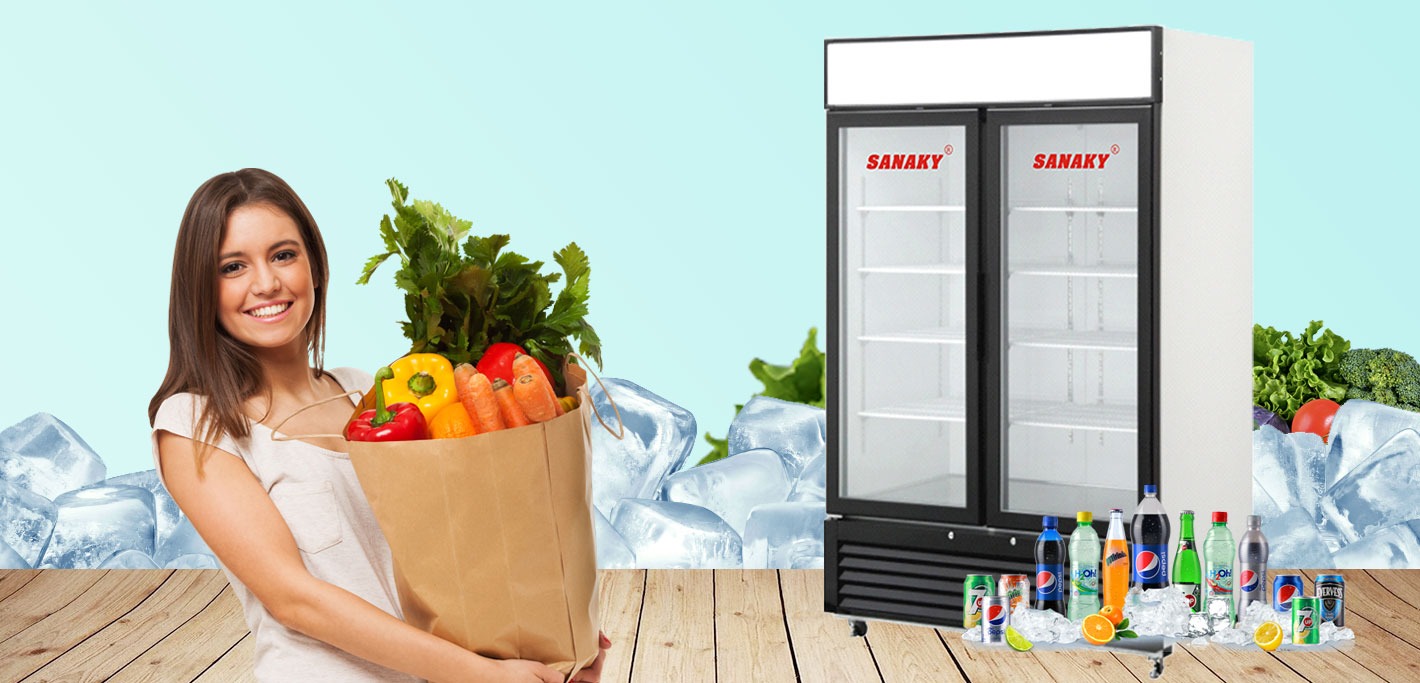 Tủ đông đứng Sanaky VH-1368K