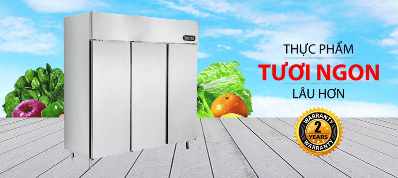 Tủ đông inox Sanaky VH-1599HP