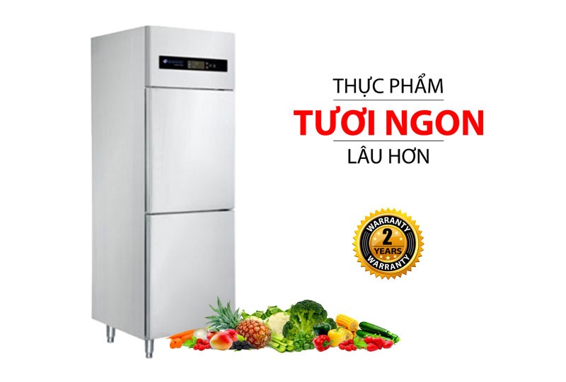 Tủ đông inox công nghiệp Sanaky VH-6099HP