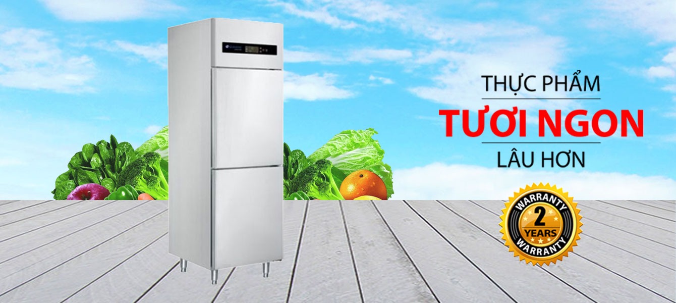 Tủ đông inox công nghiệp Sanaky VH-6099HP