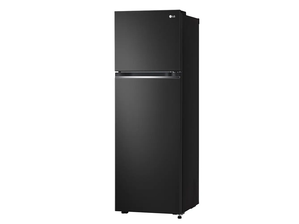 Tủ Lạnh LG Inverter 266 Lít GV-B262BL