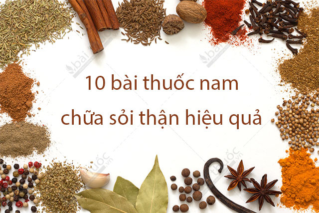 10 BÀI THUỐC NAM CHỮA SỎI THẬN HIỆU QUẢ