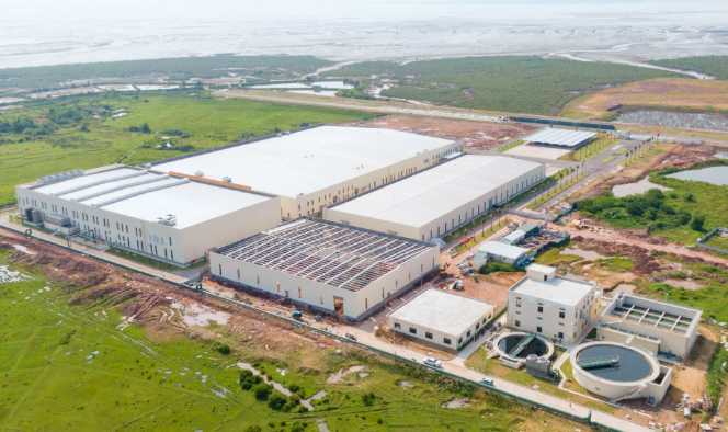 Đơn Vị Cho Thuê Xe Nâng Uy Tín, Giá Tốt Tại Quảng Ninh