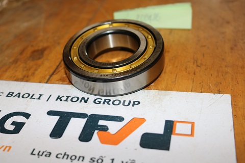 Vòng bi SFK 208