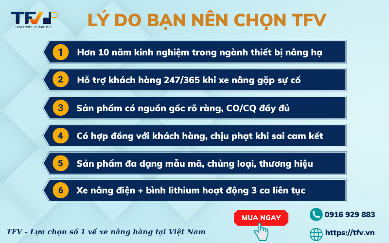 Những lý do bạn nên chọn TFV