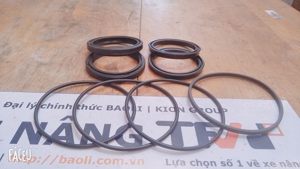 Phớt xy lanh model 12004003. Hàng mới 100%