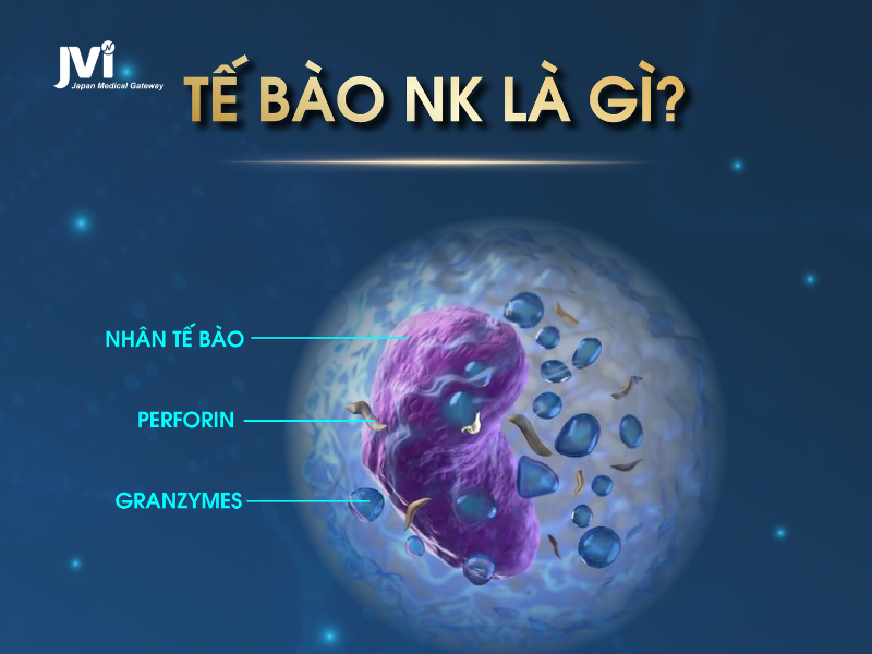 TE BAO NK LA GI?