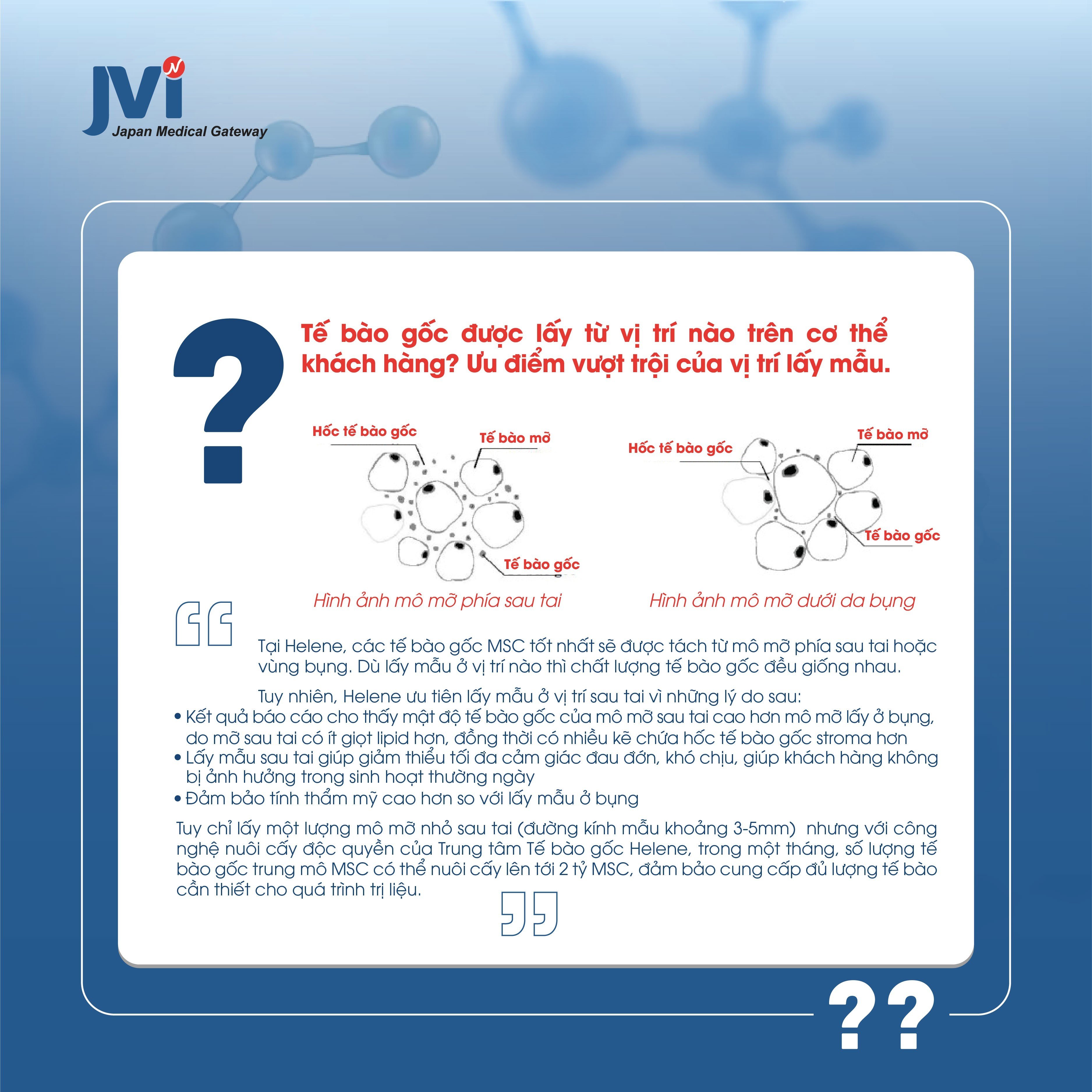 2. Tế bào gốc được lấy từ vị trí nào trên cơ thể khách hàng? Ưu điểm vượt trội của vị trí lấy mẫu