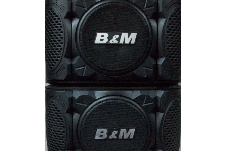 Loa B&M 6600