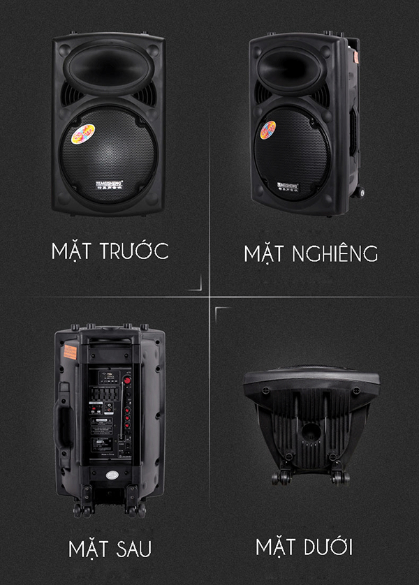 Loa trợ giảng dạng kéo Temeisheng 297L ảnh 3