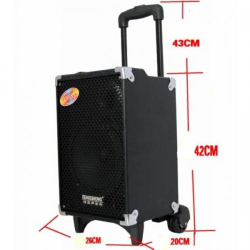 Loa trợ giảng dạng kéo Temeisheng Q8 giá rẻ 2