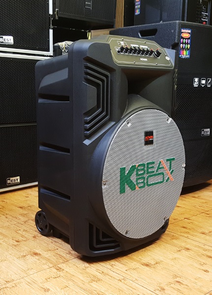 Loa kéo di động Acnos KB39Z