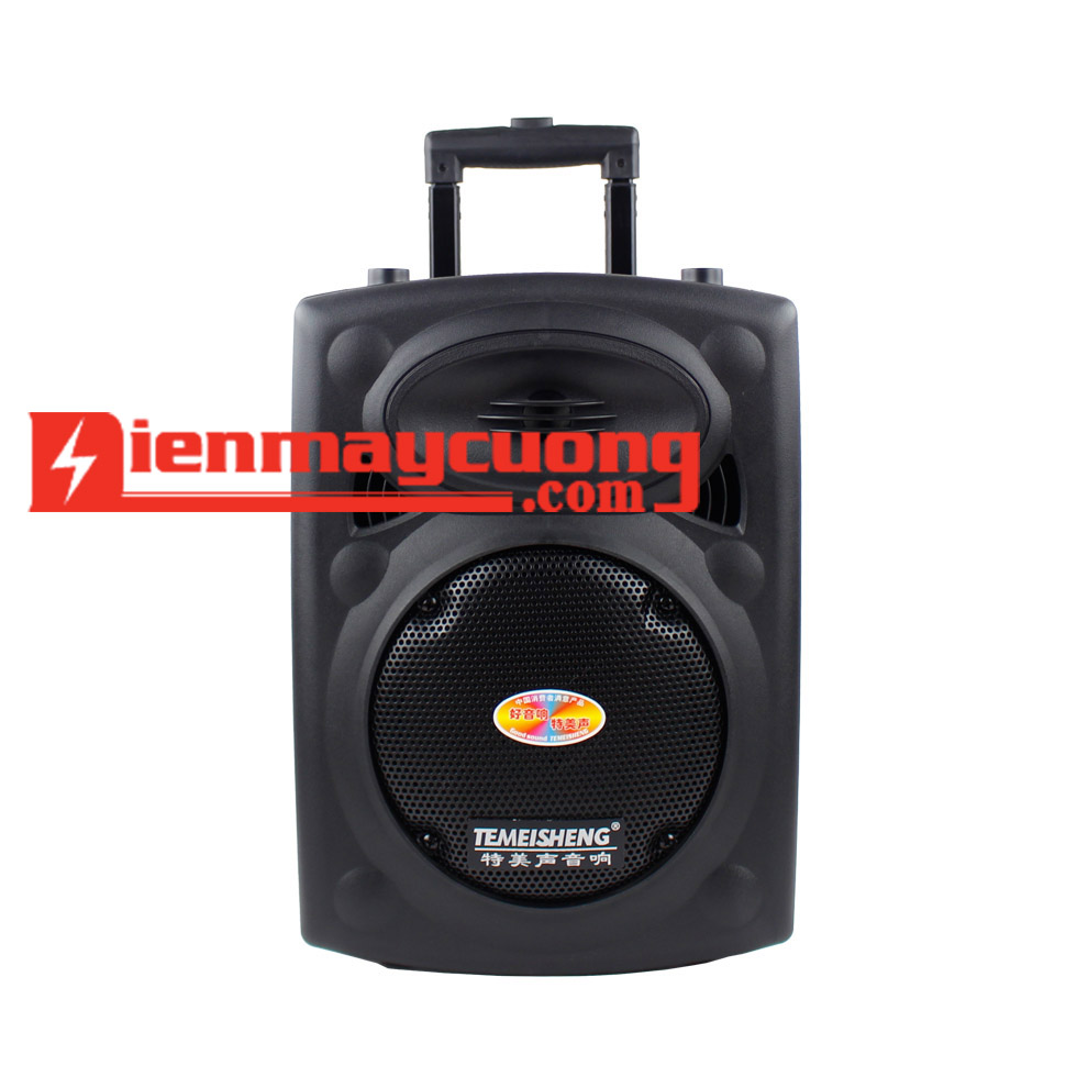 Loa trợ giảng dạng kéo Temeisheng DP-131L hình 3