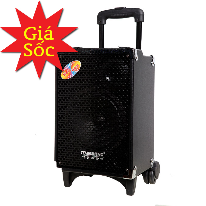 Loa trợ giảng dạng kéo Temeisheng Q8 giá rẻ hình 1