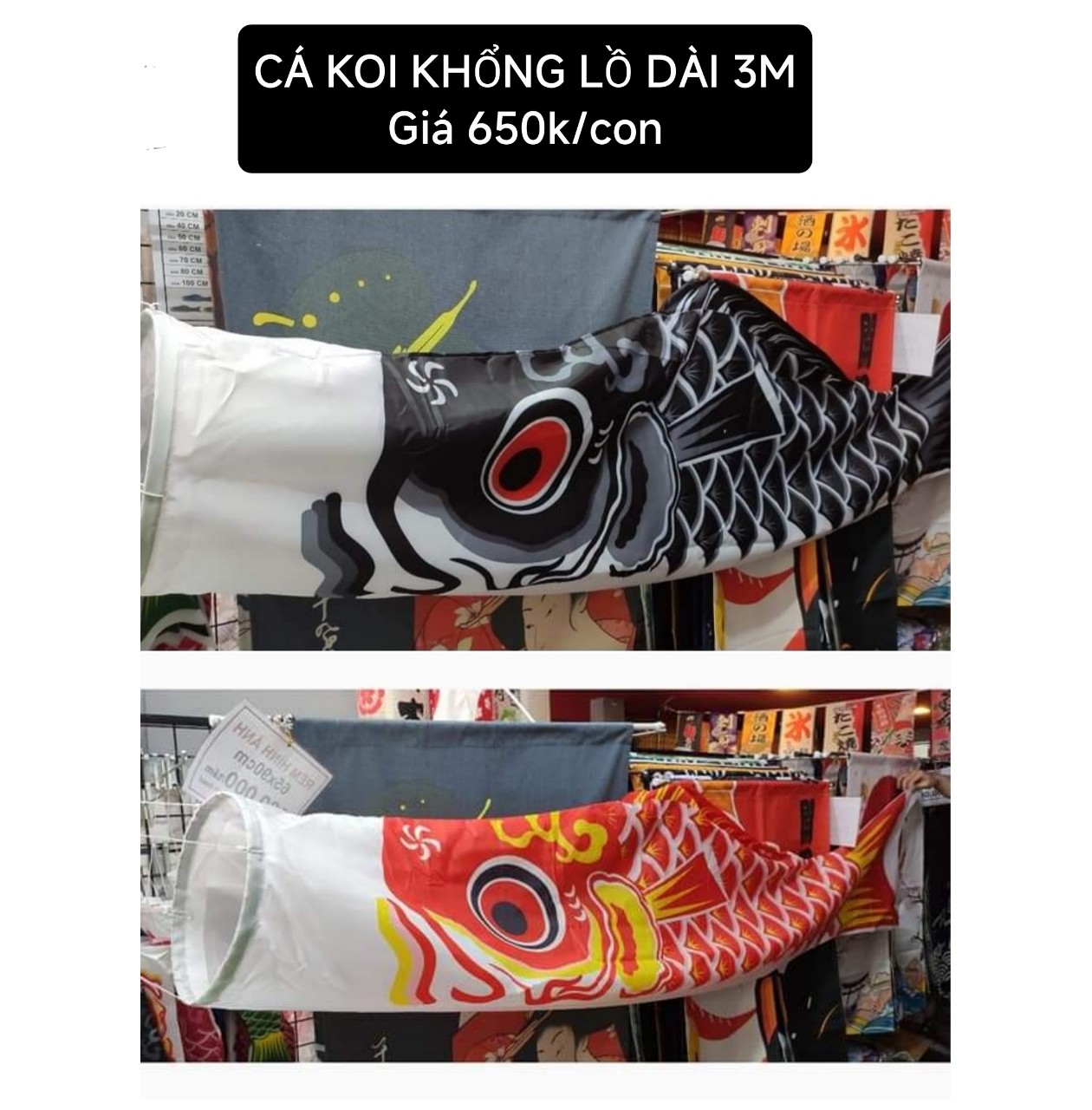 CÁ KOI NHẬT KHỔNG LỒ DÀI 3M