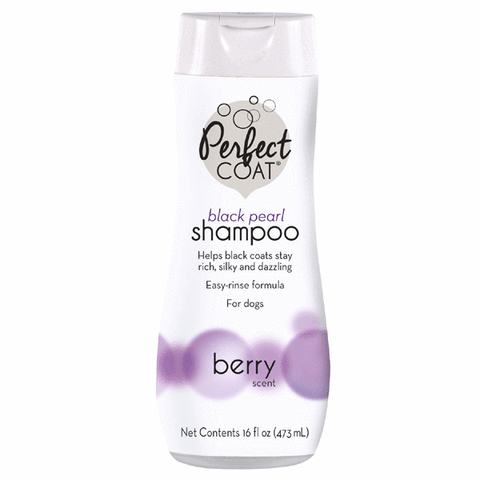 PERFECT COAT BLACK PEARL SHAMPOO