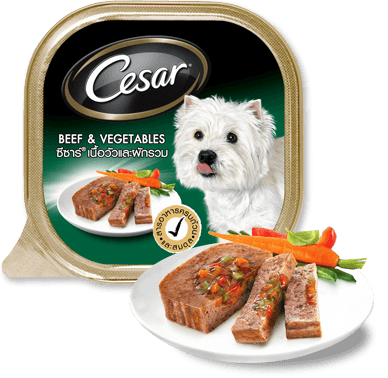 Cesar 100g Bò & Rau củ | Beef & Vegetable