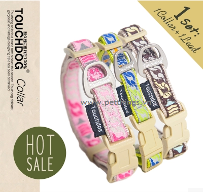 Touchdog small collar & lead