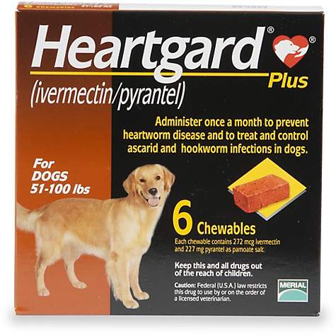 Heartgard Viên Nhai Phòng & Xổ Giun Chó 22-45kg