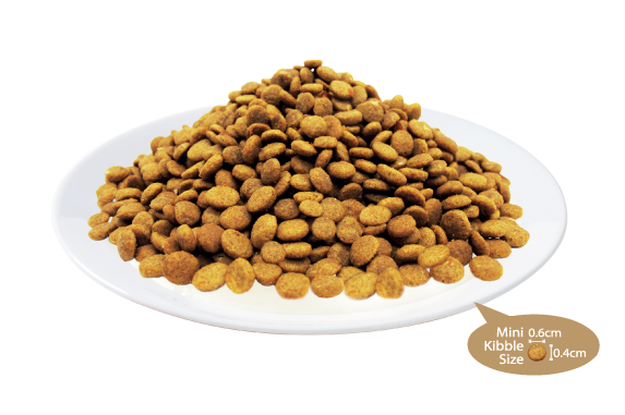 Kit Cat Kitten & Pregnant (Healthy Growth) Dry Cat Food