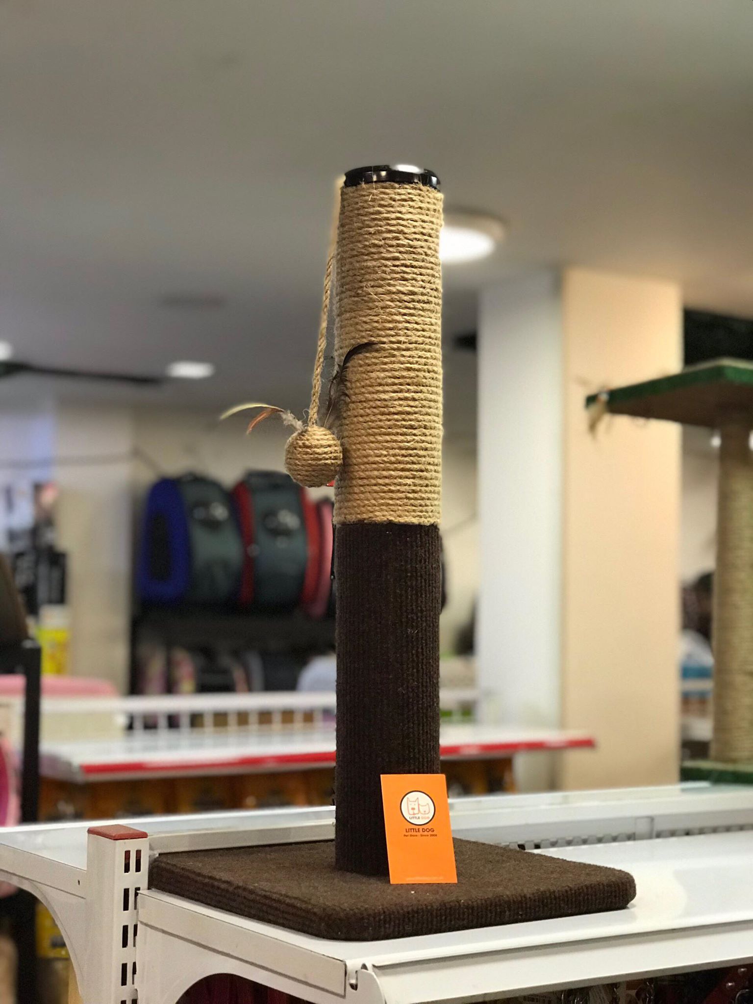 TRỤ CÀO MÈO